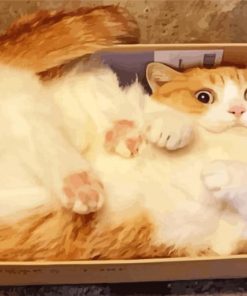 Funny Cat In A Box Diamond Paintings