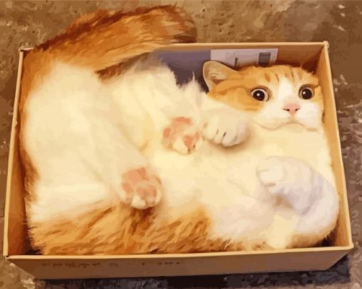 Funny Cat In A Box Diamond Paintings