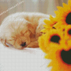 Golden Retriever Puppy With Sunflowers Diamond Paintings