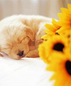 Golden Retriever Puppy With Sunflowers Diamond Paintings