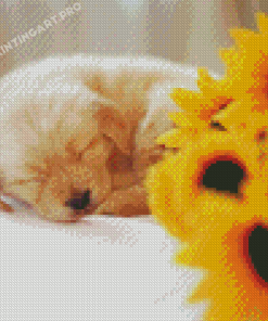 Golden Retriever Puppy With Sunflowers Diamond Paintings