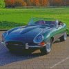 Green Jaguar XKE Diamond Paintings