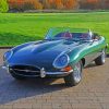 Green Jaguar XKE Diamond Paintings