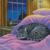 Grey Cozy Kitty Diamond Paintings