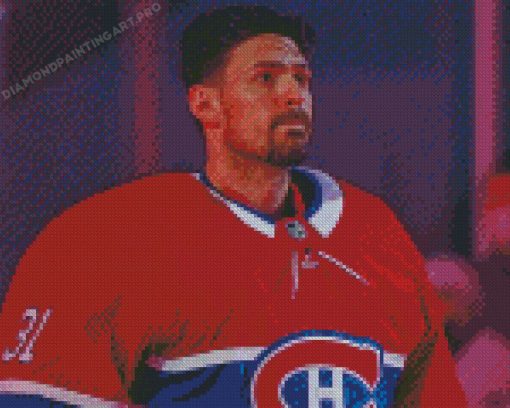 Handsome Carey Price Diamond Paintings