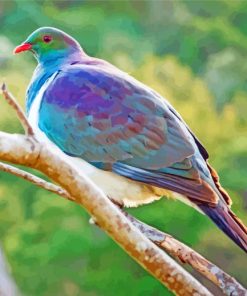 Kereru Bird On A Branch Diamond Painting