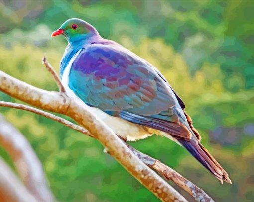 Kereru Bird On A Branch Diamond Painting