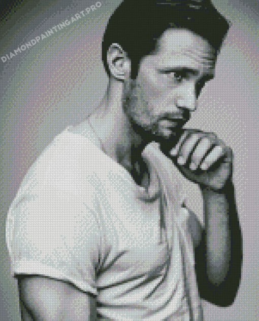 Monochrome Alexander Skarsgard Diamond Paintings