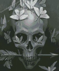 Monochrome Butterfly And Skull Diamond Paintings