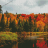 New England In The Fall Landscape Diamond Painting