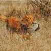 Pheasant Hunting Brown Dog Diamond Paintings