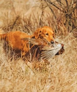 Pheasant Hunting Brown Dog Diamond Paintings