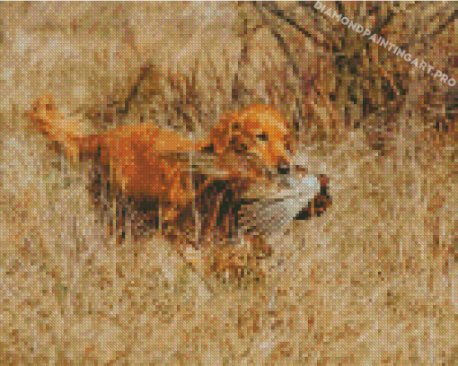 Pheasant Hunting Brown Dog Diamond Paintings