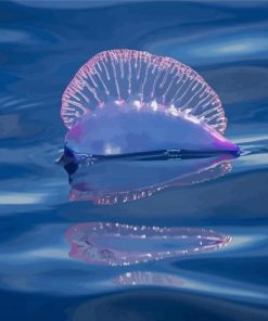 Portuguese Man Of War Diamond Paintings