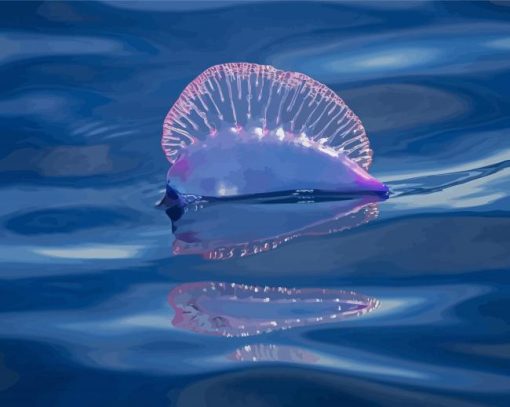 Portuguese Man Of War Diamond Paintings