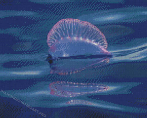 Portuguese Man Of War Diamond Paintings