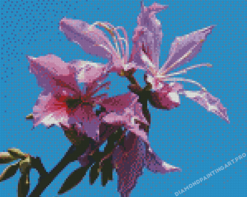 Purple Bauhinia Variegata Diamond Painting