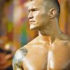 Randy Orton Diamond Painting