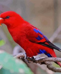 Red Lory Bird On Branch Diamond Painting