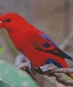 Red Lory Bird On Branch Diamond Painting