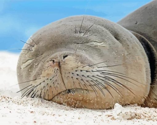 Sleepy Monk Seal Diamond Painting