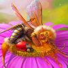 Sleepy Queen Bee Diamond Painting