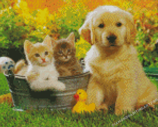 Tabby Cats And Golden Spaniel Puppy Diamond Painting