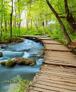 Water And Forest Diamond Painting