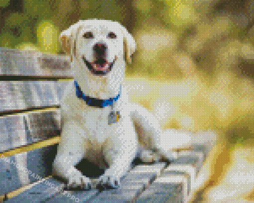 White Dog On Bench Diamond Painting