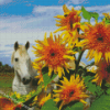 White Horse With Sunflowers Diamond Paintings