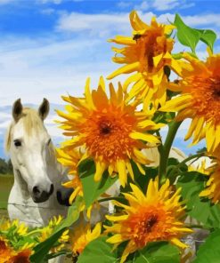 White Horse With Sunflowers Diamond Paintings