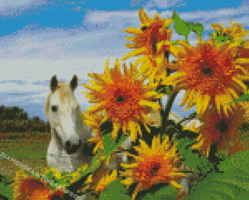 White Horse With Sunflowers Diamond Paintings