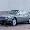 Aesthetic 87 Jaguar Diamond Painting