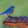 Aesthetic Bluebird Diamond Painting