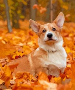 Aesthetic Dog In Autumn Diamond Painting