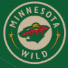 Aesthetic Minnesota Wild Diamond Painting