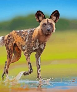 African Hunting Dog Diamond Painting