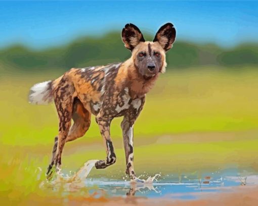 African Hunting Dog Diamond Painting