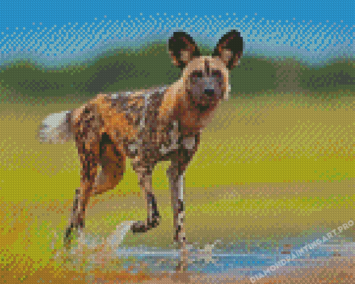 African Hunting Dog Diamond Painting