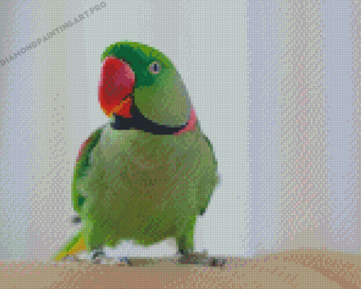 Alexandrine Parakeet Bird Diamond Painting