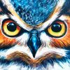 Angry Owl Eyes Diamond Painting