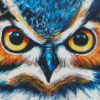 Angry Owl Eyes Diamond Painting