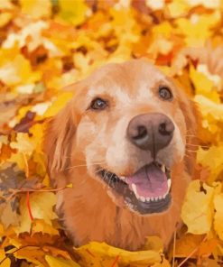 Autumn Golden Retriever Diamond Painting