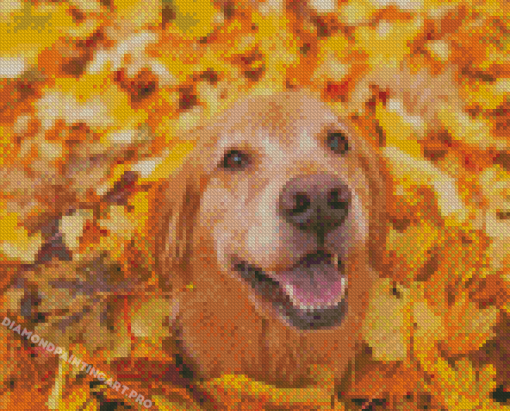 Autumn Golden Retriever Diamond Painting