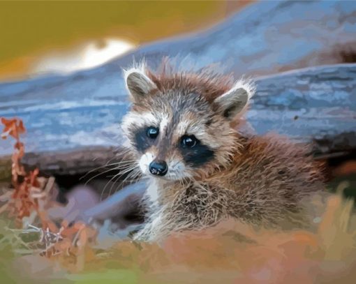 Baby Raccoon Diamond Painting