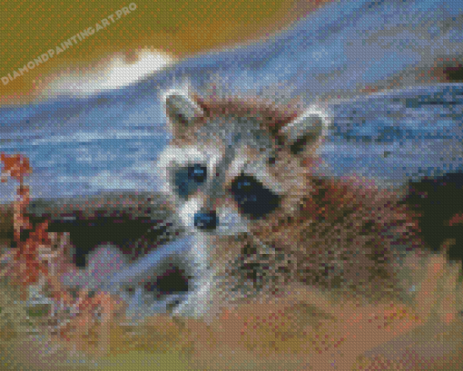 Baby Raccoon Diamond Painting