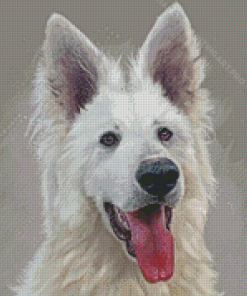 Berger Blanc Suisse Diamond Painting