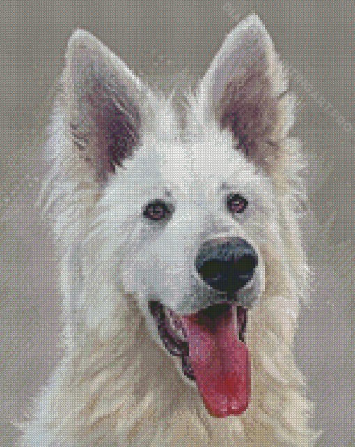 Berger Blanc Suisse Diamond Painting