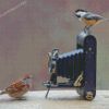 Birds And Camera Diamond Painting