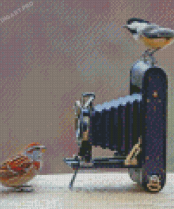 Birds And Camera Diamond Painting